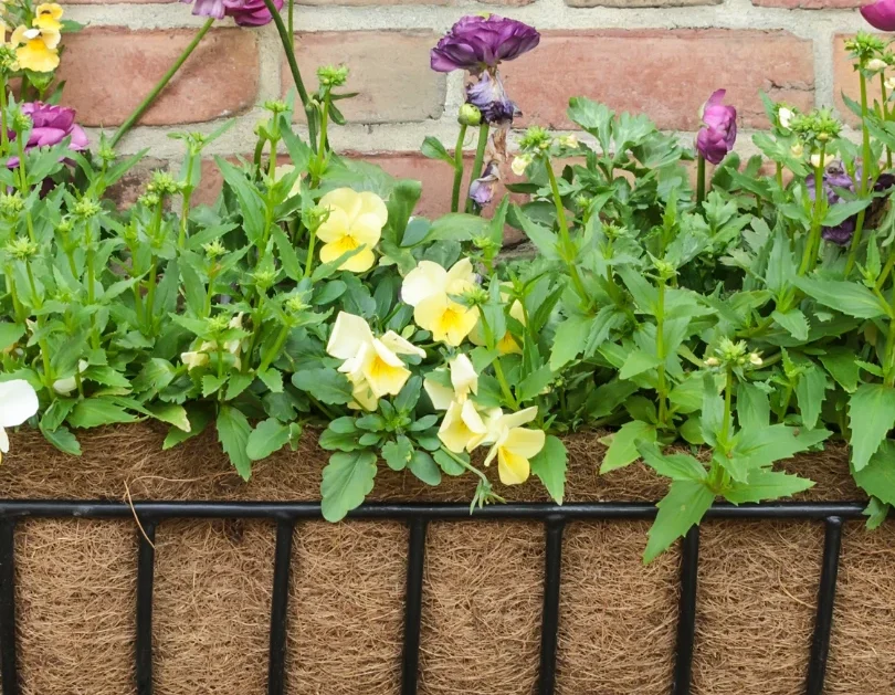 puertas-hierro-rejas-vallas-jardin-hierro_7